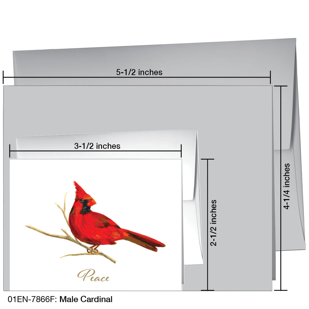 Male Cardinal, Greeting Card (7866F)