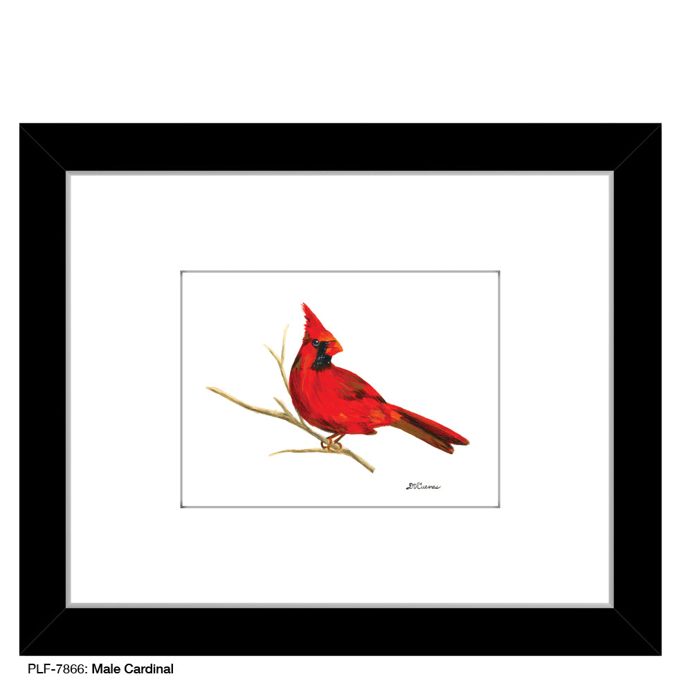 Male Cardinal, Print (#7866)