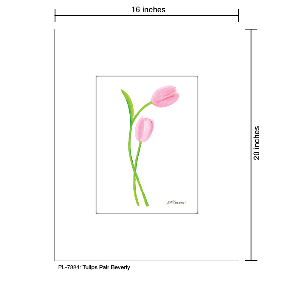 Tulips Pair Beverly, Print (#7884)