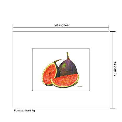 Sliced Fig, Print (#7926)