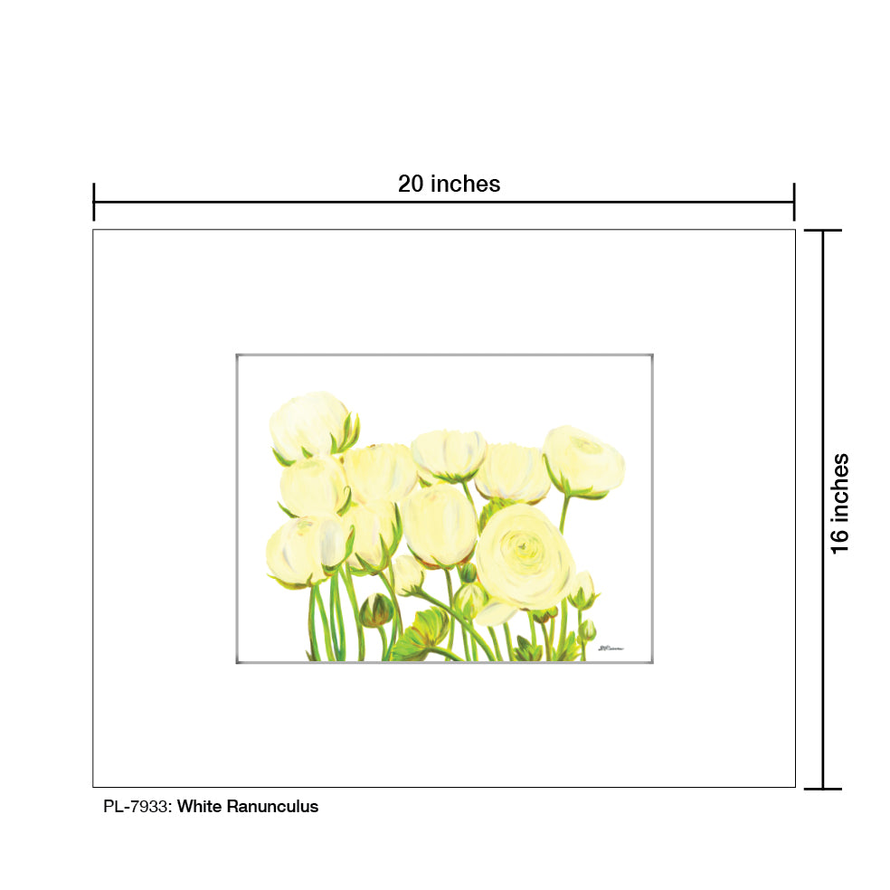 White Ranunculus, Print (#7933)