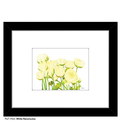 White Ranunculus, Print (#7933)