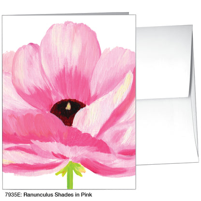 Ranunculus Shades In Pink, Greeting Card (7935E)