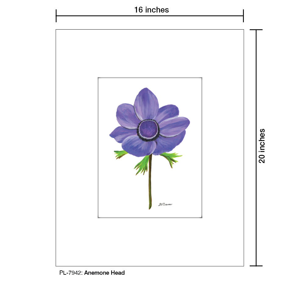 Anemone Head, Print (#7942)