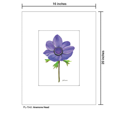 Anemone Head, Print (#7942)