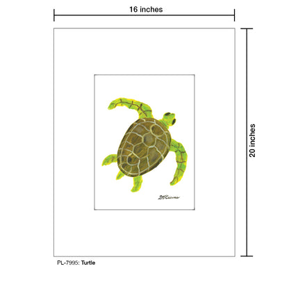 Turtle, Print (#7995)