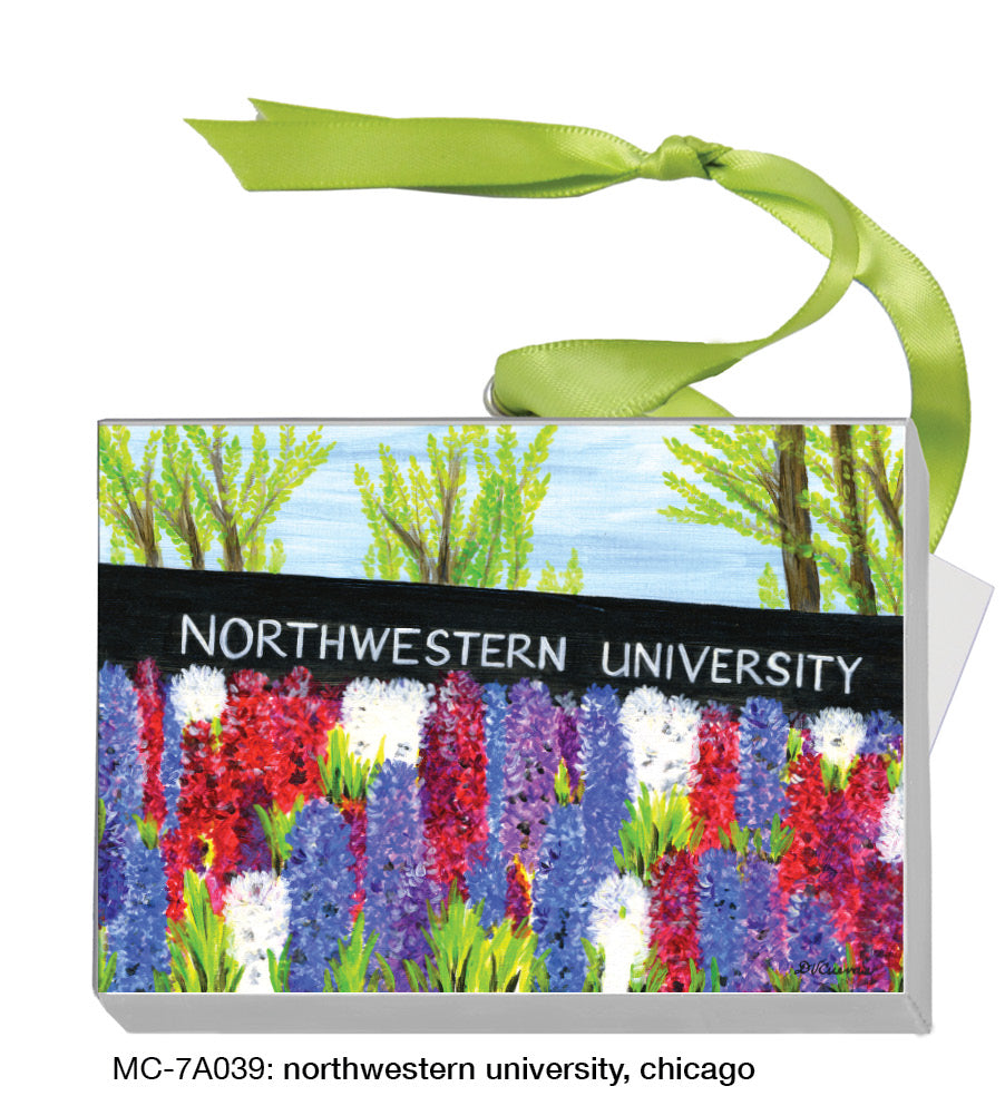 Northwestern University, Chicago (MC-8269)