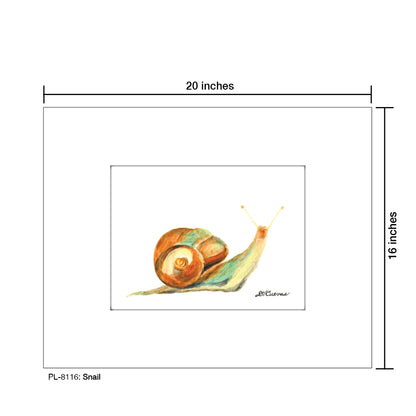 Snail, Print (#8116)