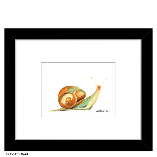 Snail, Print (#8116)