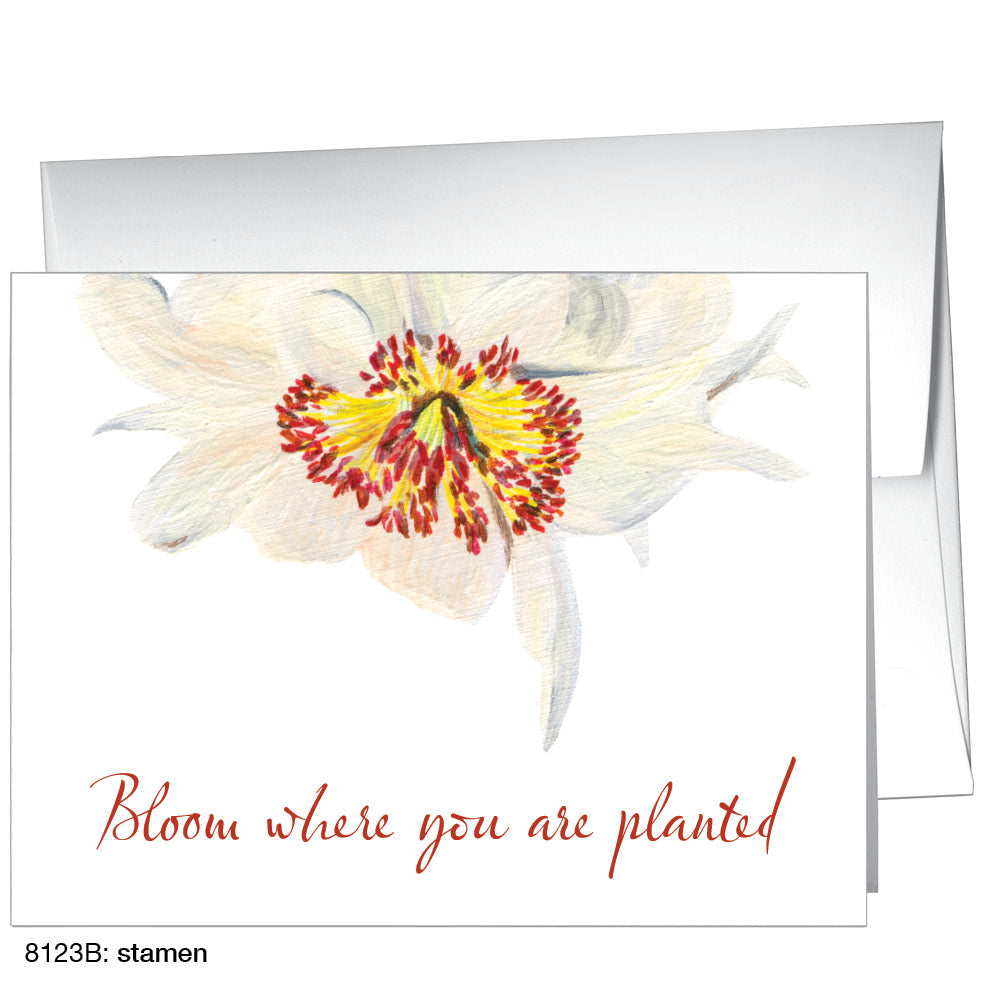 Stamen, Greeting Card (8123B)