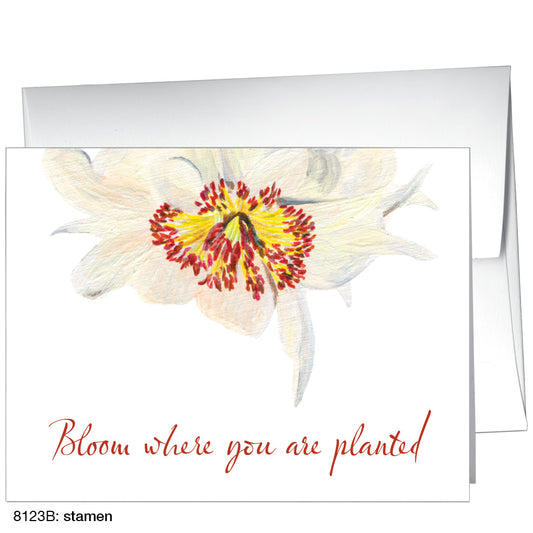 Stamen, Greeting Card (8123B)