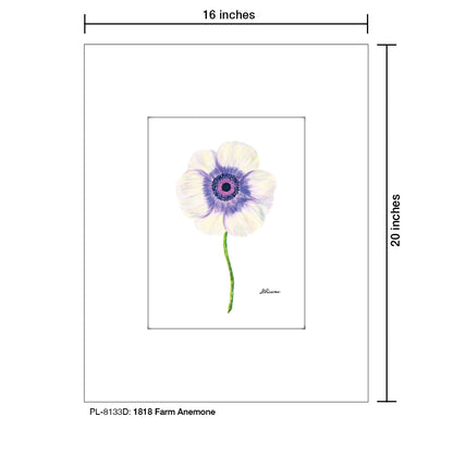 1818 Farm Anemone, Print (#8133D)