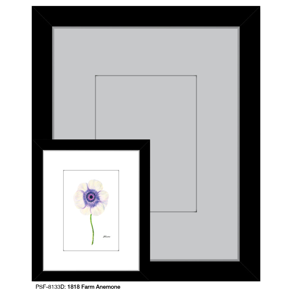 1818 Farm Anemone, Print (#8133D)