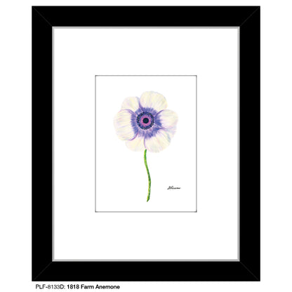 1818 Farm Anemone, Print (#8133D)