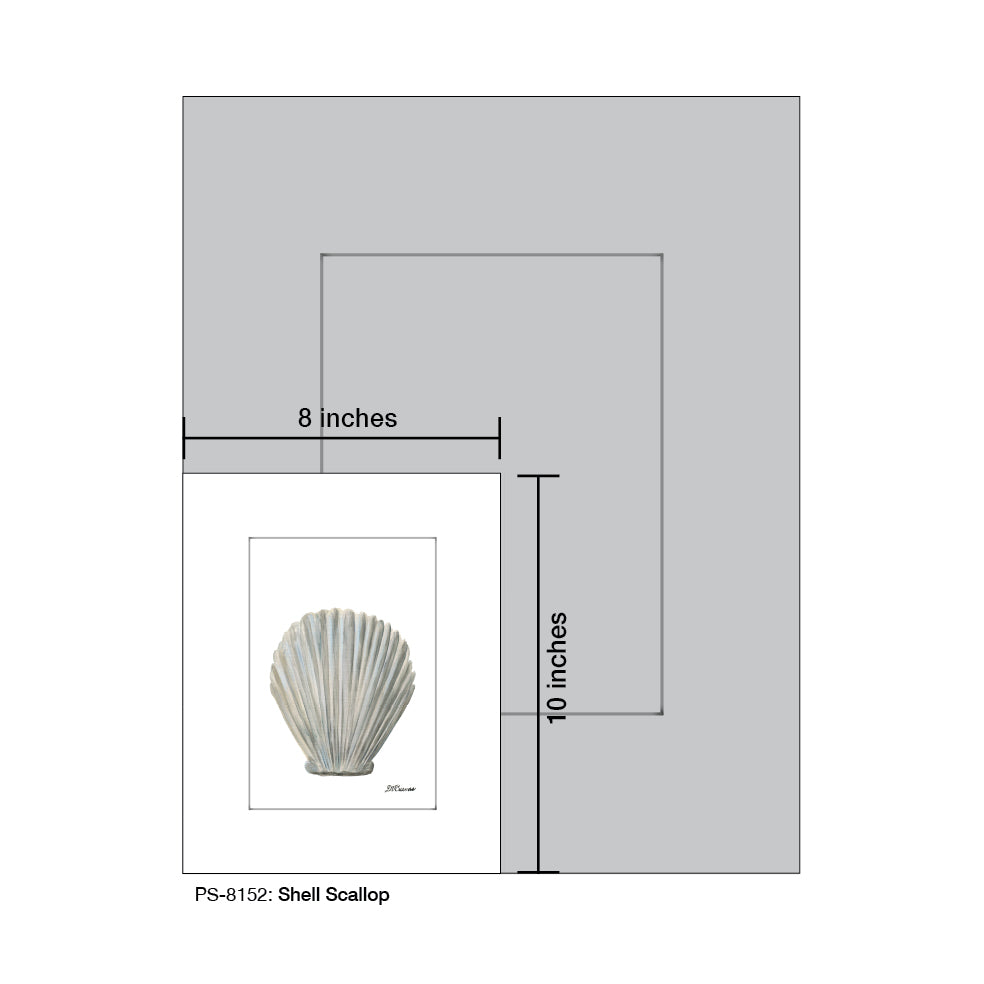 Shell Scallop, Print (#8152)