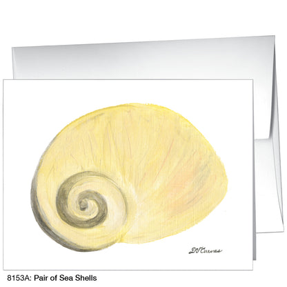 Pair Of Sea Shells, Greeting Card (8153A)