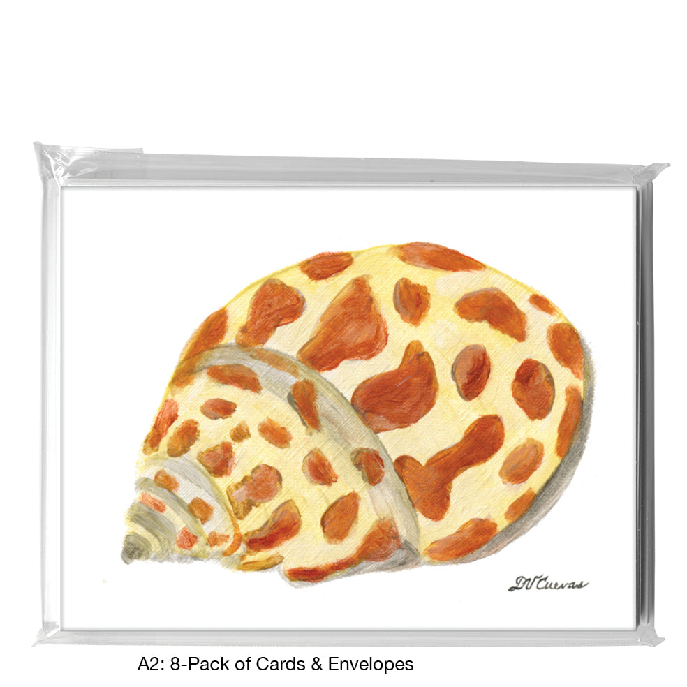 Pair Of Sea Shells, Greeting Card (8153B)