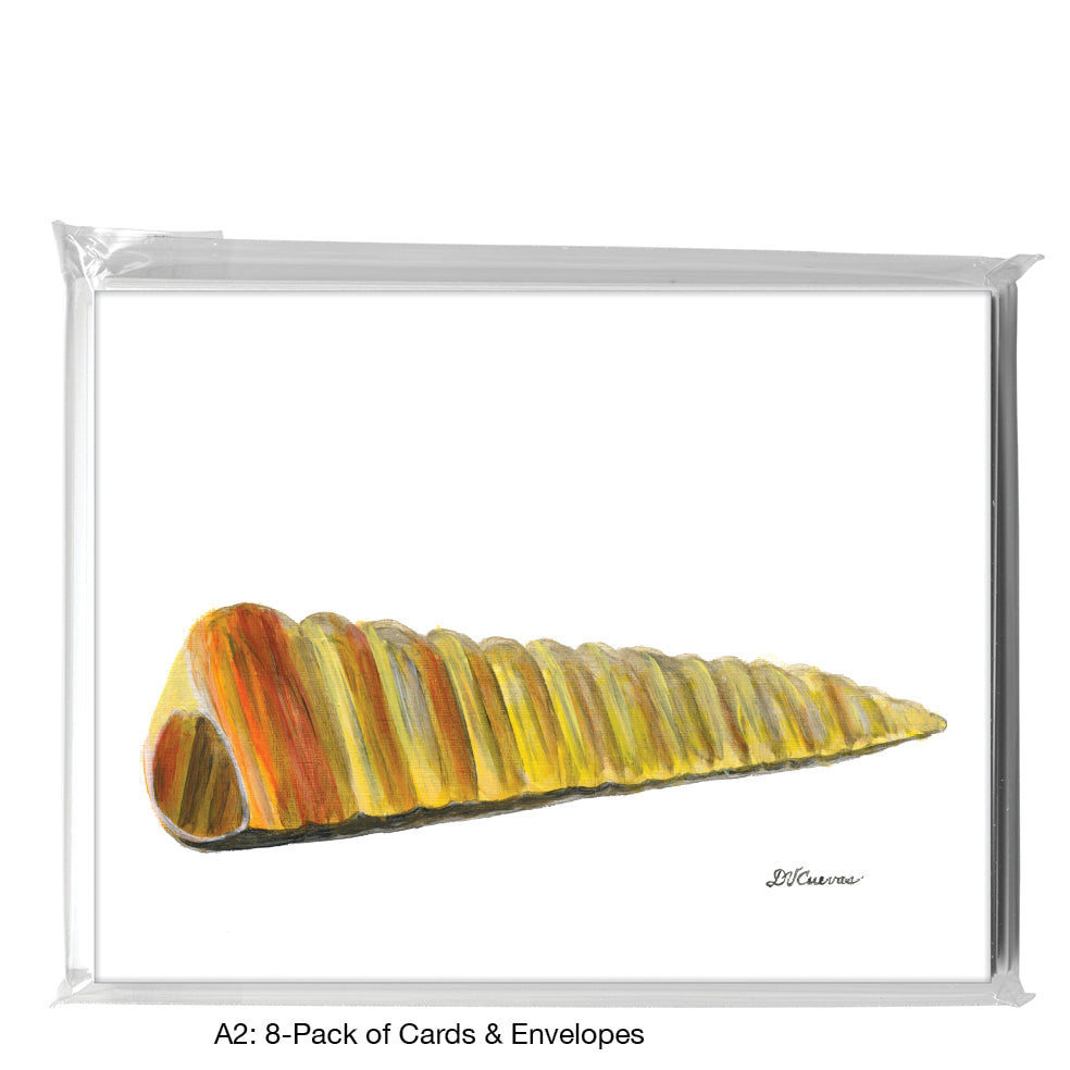 Shell Screw, Greeting Card (8161)