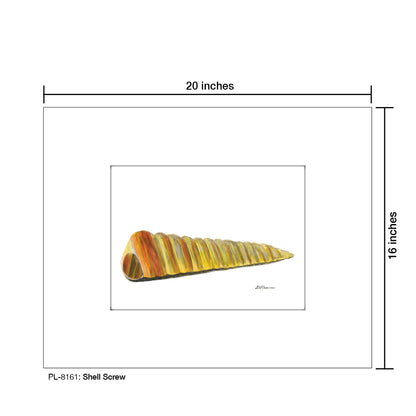 Shell Screw, Print (#8161)