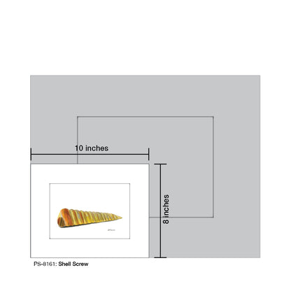 Shell Screw, Print (#8161)