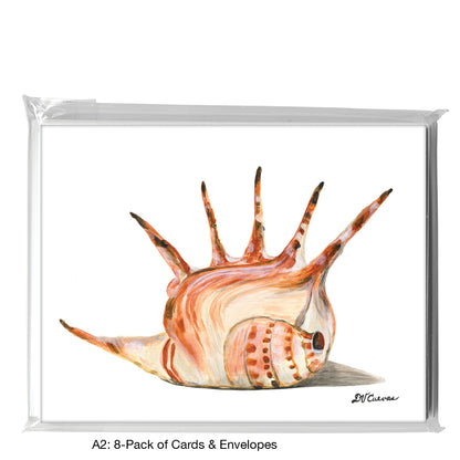 Shell Crown, Greeting Card (8166)