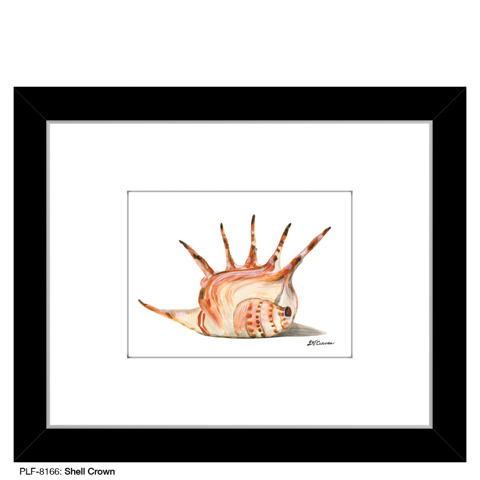 Shell Crown, Print (#8166)