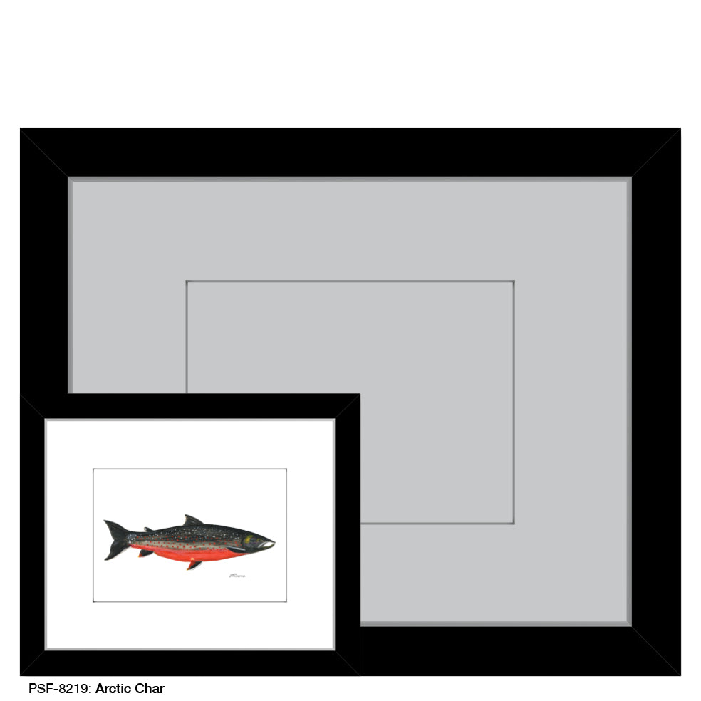 Arctic Char, Print (#8219)