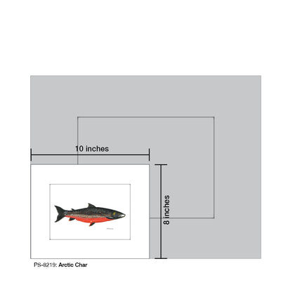 Arctic Char, Print (#8219)