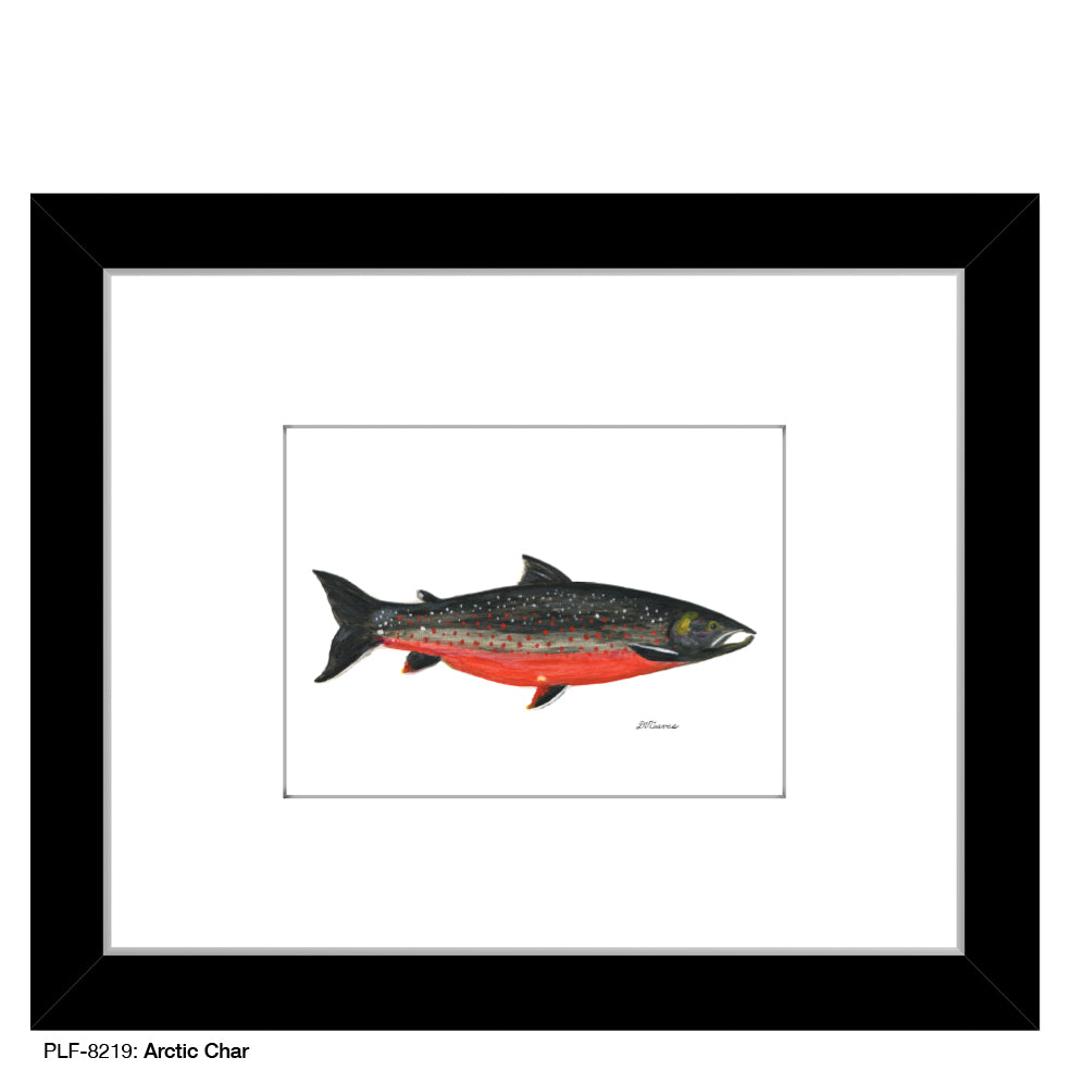 Arctic Char, Print (#8219)