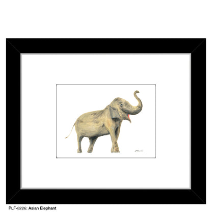 Asian Elephant, Print (#8226)