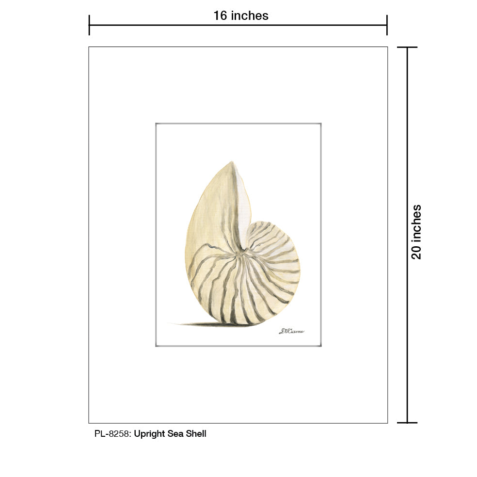 Upright Sea Shell, Print (#8258)