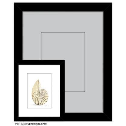 Upright Sea Shell, Print (#8258)