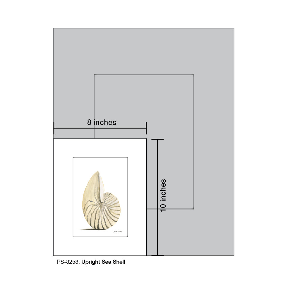 Upright Sea Shell, Print (#8258)