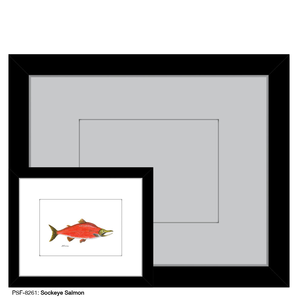 Sockeye Salmon, Print (#8261)