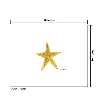 Starfish, Print (#8267)