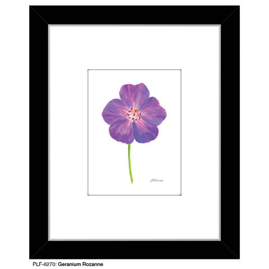 Geranium Rozanne, Print (#8270)