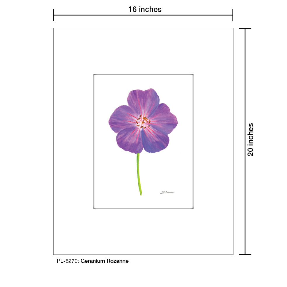 Geranium Rozanne, Print (#8270)