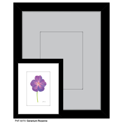 Geranium Rozanne, Print (#8270)