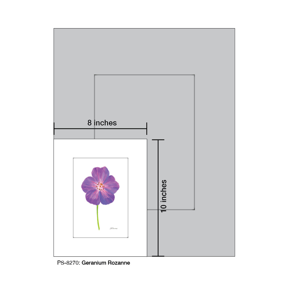 Geranium Rozanne, Print (#8270)