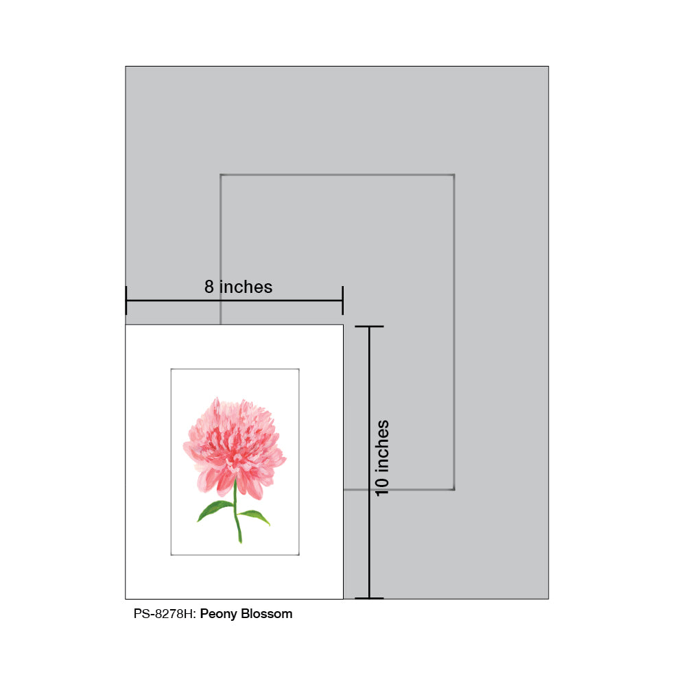 Peony Blossom, Print (#8278H)