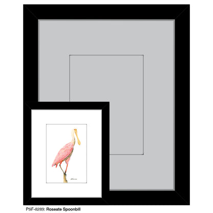 Roseate Spoonbill, Print (#8289)