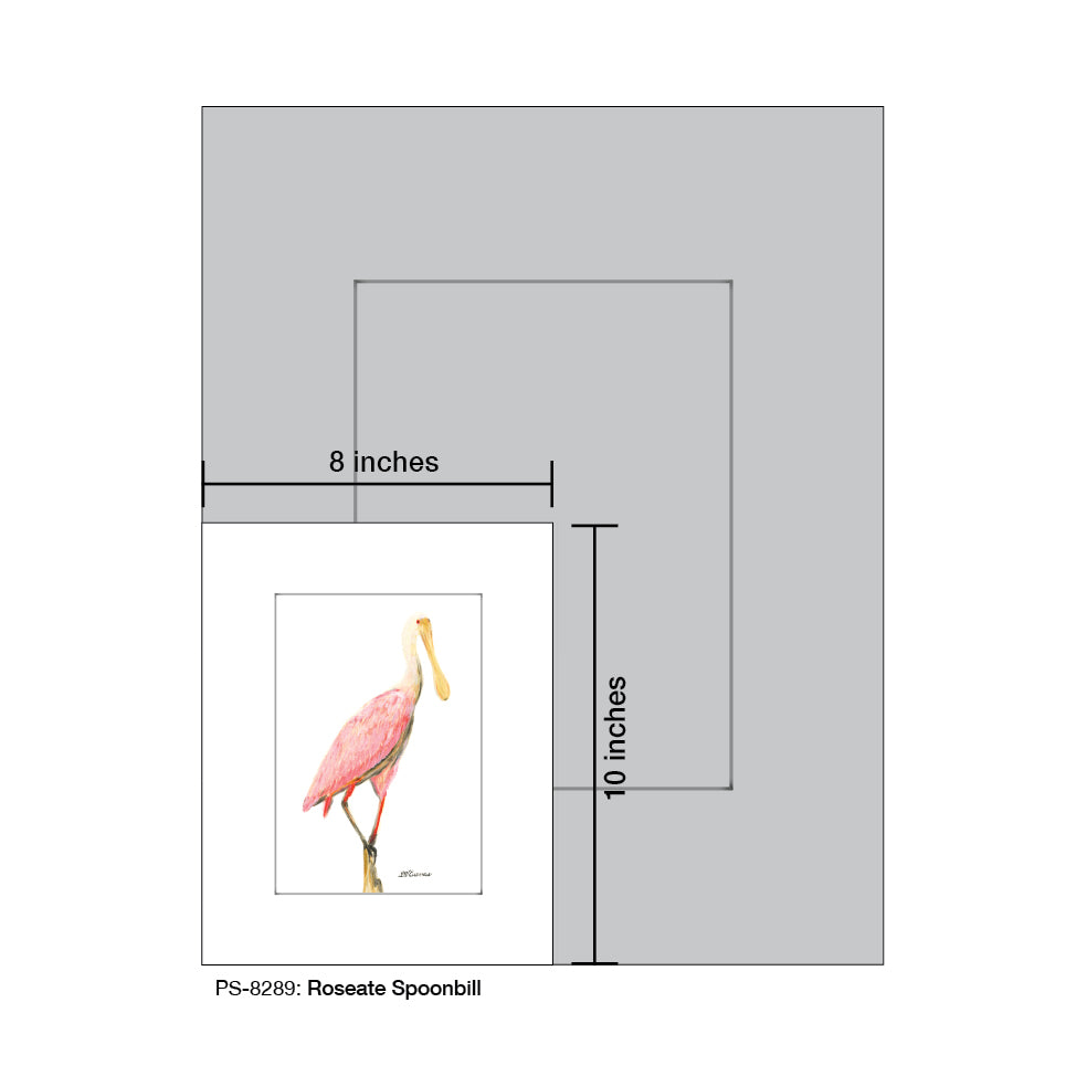 Roseate Spoonbill, Print (#8289)