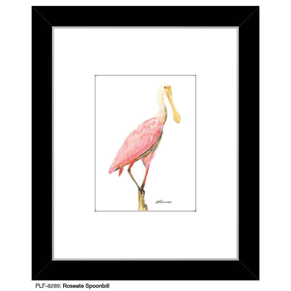 Roseate Spoonbill, Print (#8289)