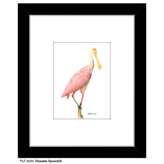 Roseate Spoonbill, Print (#8289)