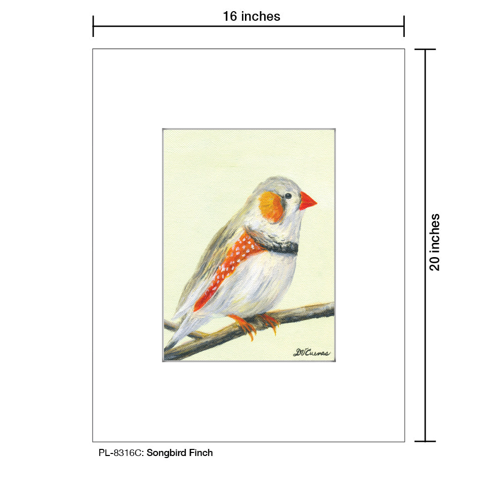 Songbird Finch, Print (#8316C)