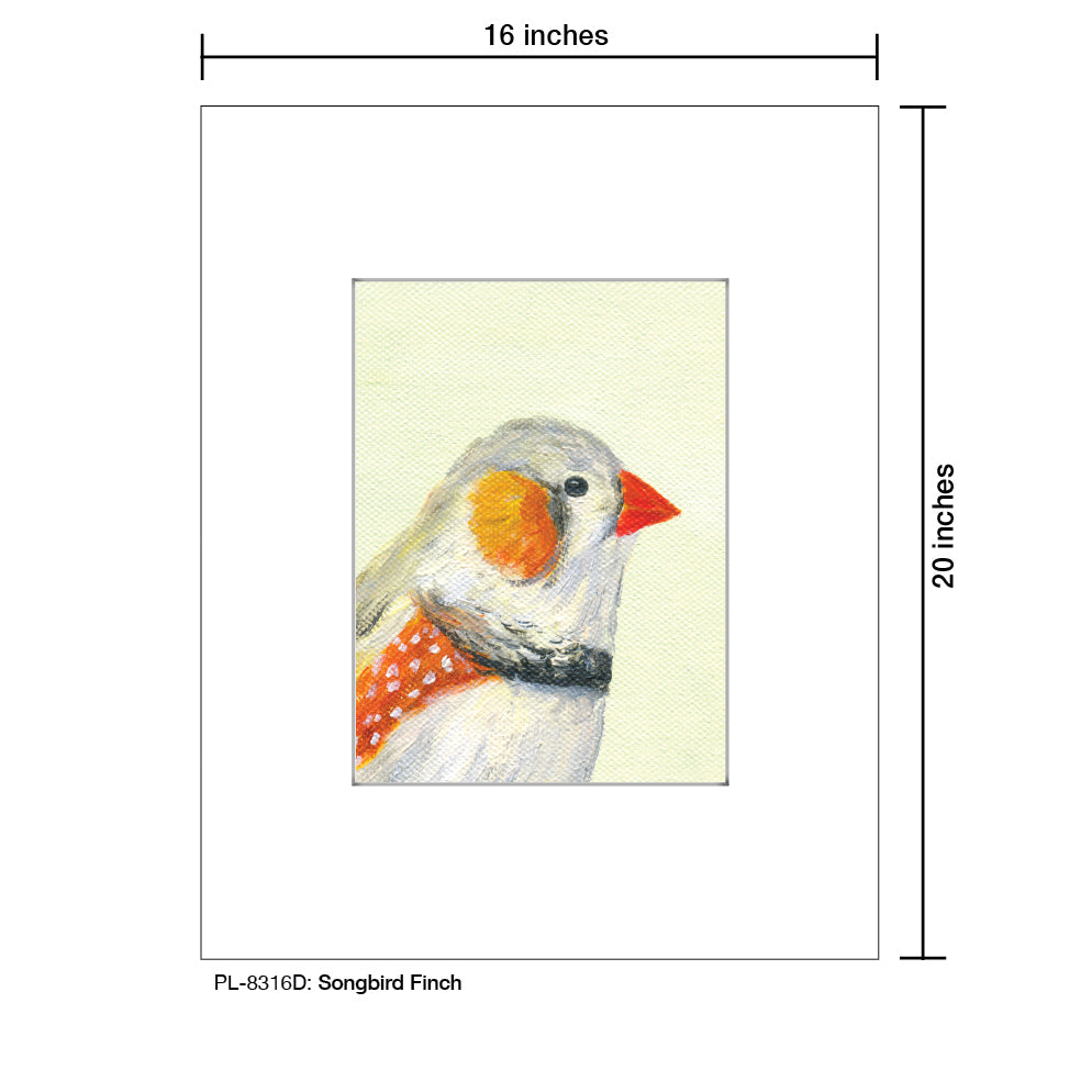 Songbird Finch, Print (#8316D)