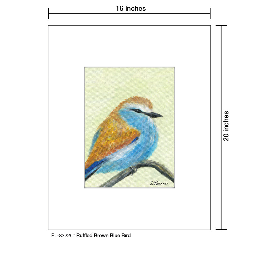 Ruffled Brown Blue Bird, Print (#8322C)