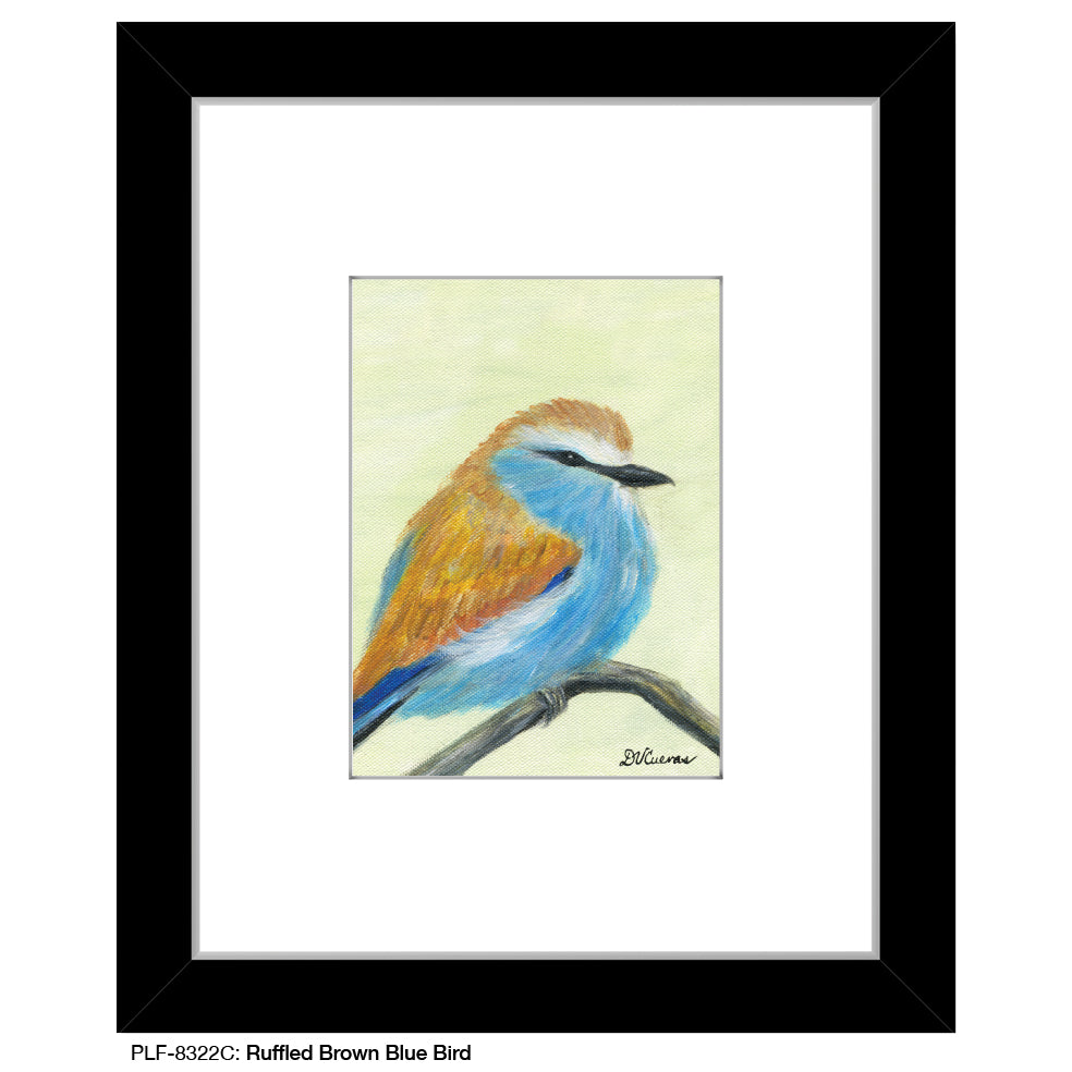 Ruffled Brown Blue Bird, Print (#8322C)