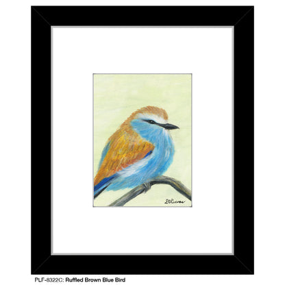 Ruffled Brown Blue Bird, Print (#8322C)