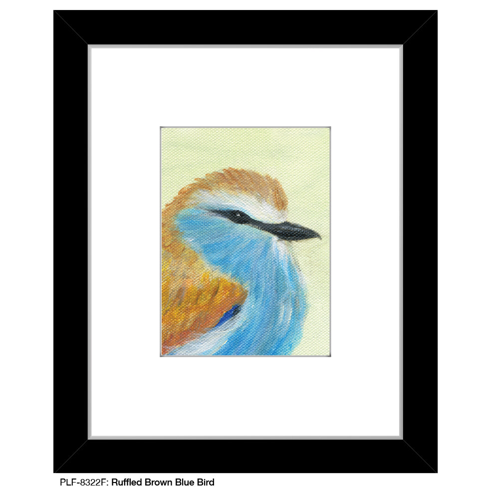 Ruffled Brown Blue Bird, Print (#8322F)